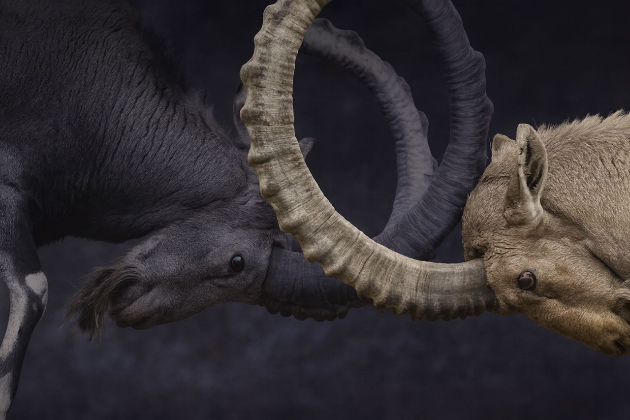 Commercial litigation