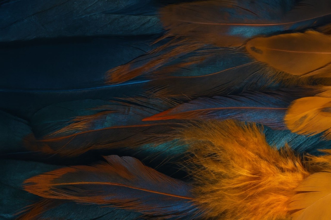 Merges And Acquisitions